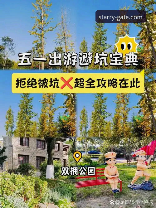 从零开始：银河娱乐最新版下载官方下载安装教程（附新手避坑指南）